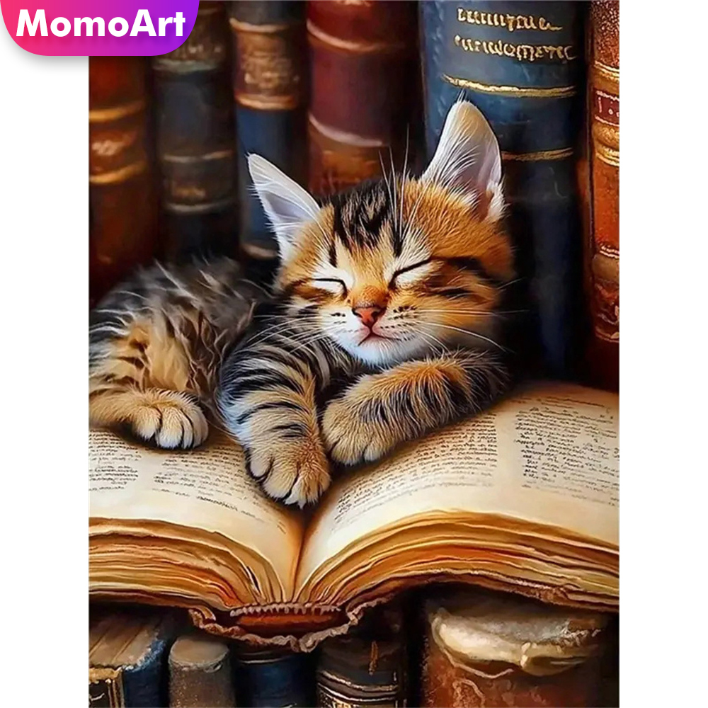 Momoart 5D DIY Diamond Paintin - đánh giá và giá Embroidery Journal Book